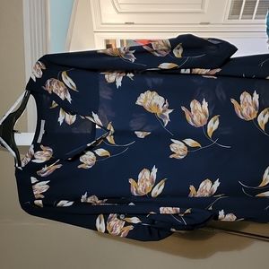 danielrainn blouse size 1X